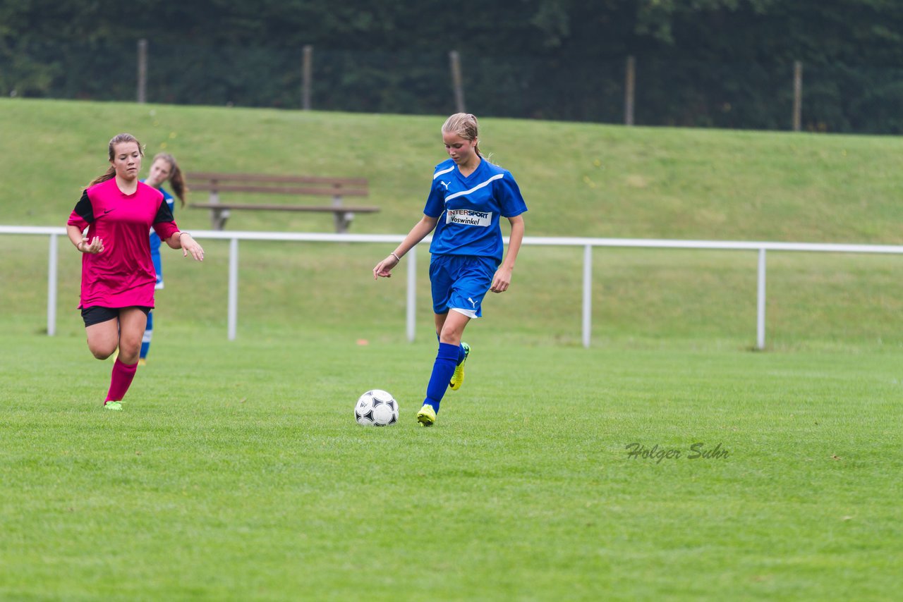 Bild 223 - B-Juniorinnen FSG BraWie 08 - JSG Sandesneben : Ergebnis: 2:0